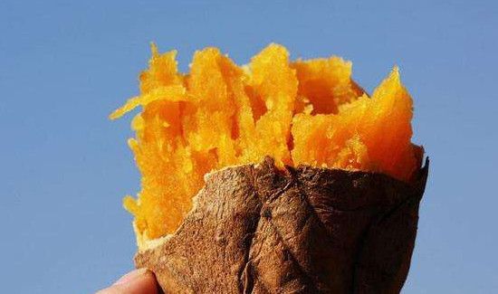 红薯柿子能一块吃吗