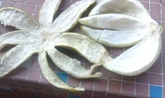 柚子皮晒干有什么用处