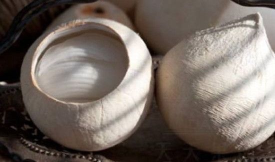 椰青为什么是白的