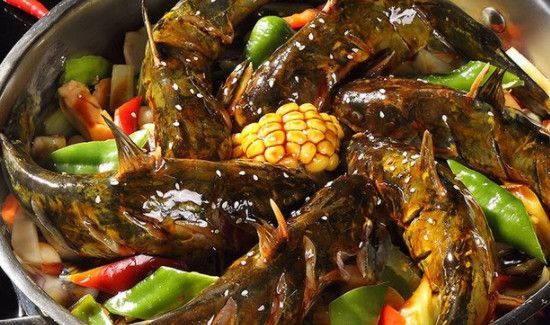 什么人不能吃黄辣丁