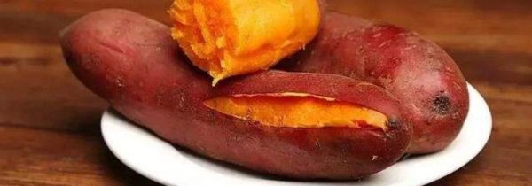 红薯蒸着吃还是煮着吃