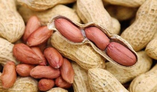 花生禁忌