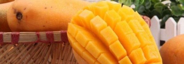 芒果和可乐可以一起吃吗