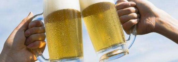 啤酒浇花需要发酵吗