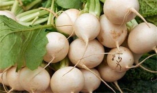 萝卜和梨能一起吃吗