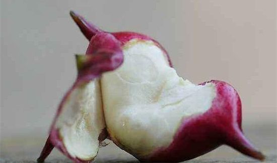 菱角保存到冬季的方法