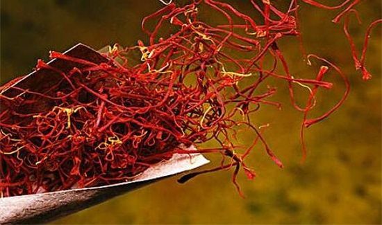 藏红花禁忌人群