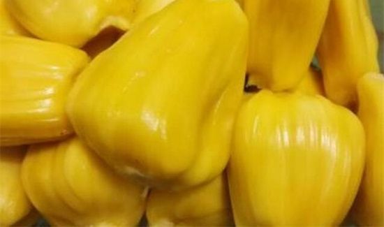 菠萝蜜的功效及禁忌