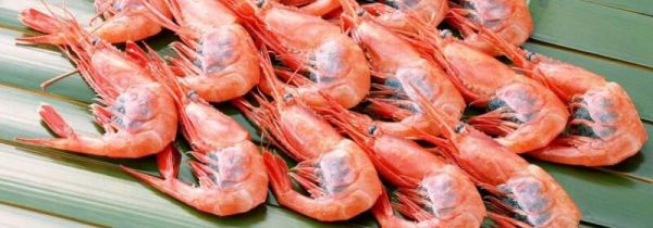 虾和葡萄一起吃了怎么办