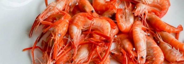 虾和豆腐可以一起吃吗