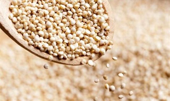 藜麦可以和大米一起煮饭吗