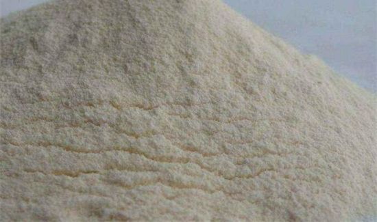 蛋白质粉开罐保存多久