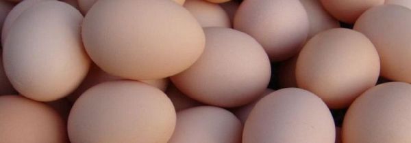 鸡蛋破了能放多久