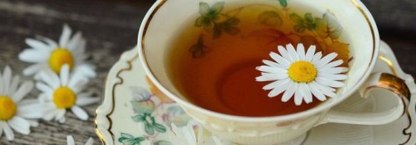 茯菊茶的功效与作用