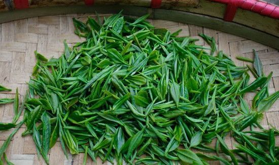 茶叶涩是因为什么原因