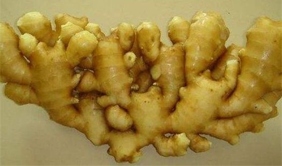 蜂蜜和姜可以一起吃吗