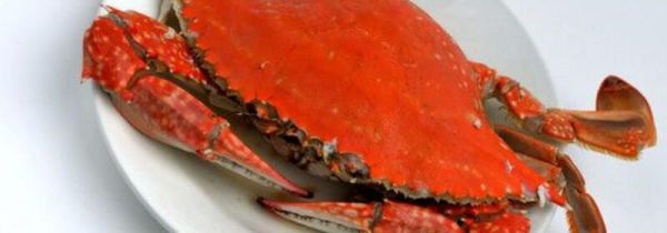 螃蟹和冬瓜能不能一起吃