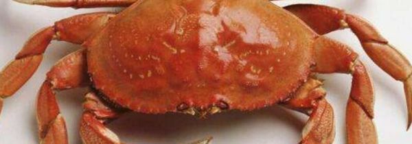 螃蟹可以和酸奶一起吃吗