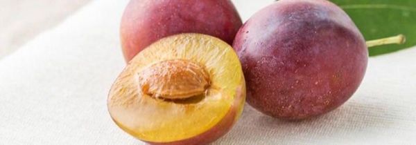 西梅和牛奶可以一起吃吗