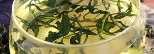 谷谷丁茶的功效与禁忌