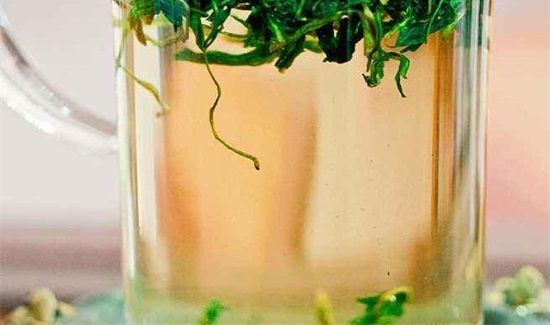 谷谷丁茶的功效与禁忌