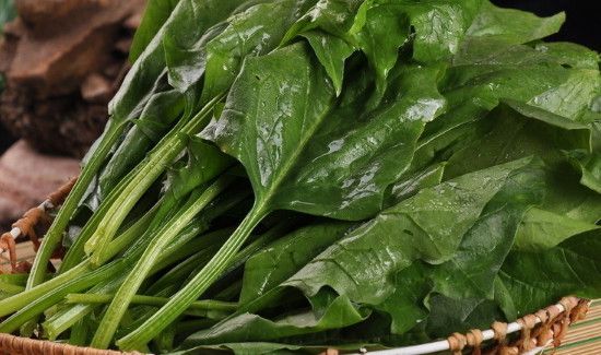 薏米不能和什么一起熬粥