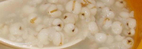 薏米不能和什么一起熬粥