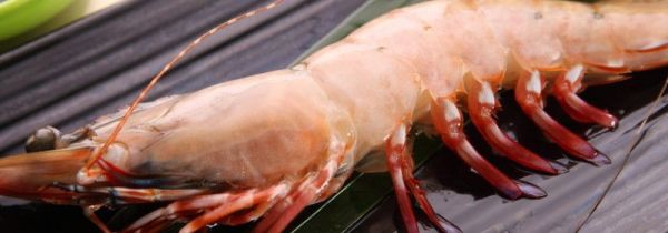 虾可以和石榴一起吃