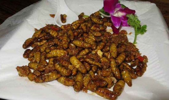 蚕虫的功效与作用吃法