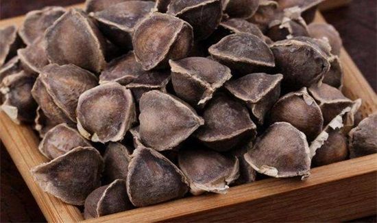 辣木籽与什么相克