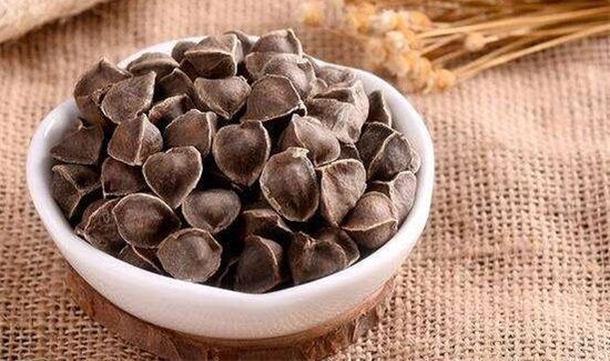 辣木籽与什么相克