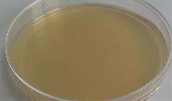 酪蛋白对人有害吗