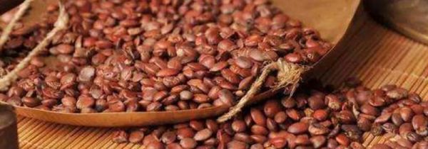 酸枣仁汤的禁忌