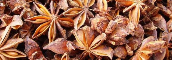 八角发霉怎么清洗