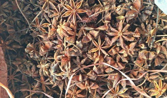 八角发霉怎么清洗
