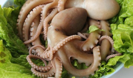 八爪鱼的副作用