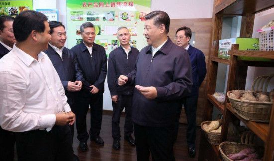 八个着力是什么