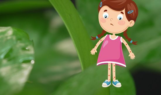 家里为什么不能放绿萝