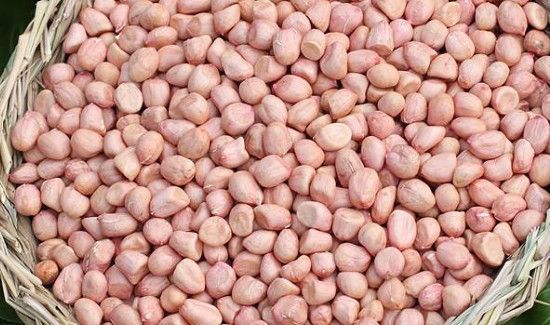 豆浆和花生可以一起吃吗