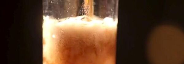 榴莲不能和什么一起吃