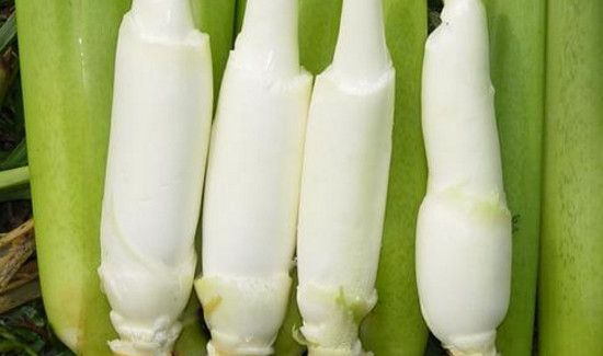 茭白需要用水焯吗