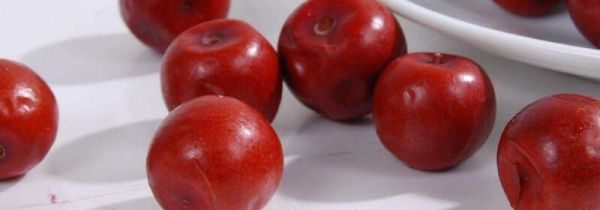 野生酸枣的功效与作用及食用方法