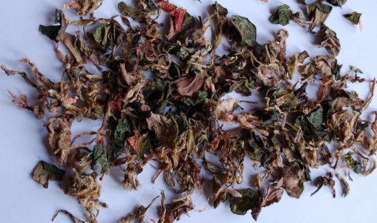 金线莲养肝茶的作用与功效