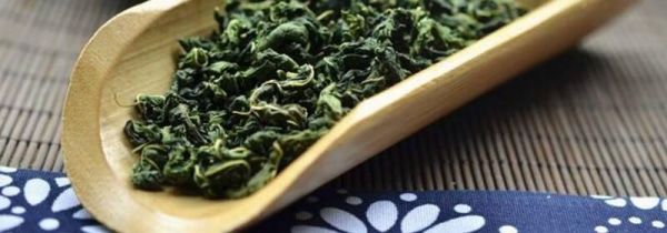 霜桑茶哪些人不能喝