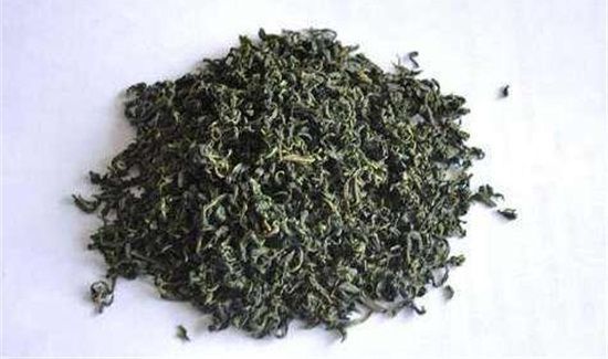 霜桑茶哪些人不能喝