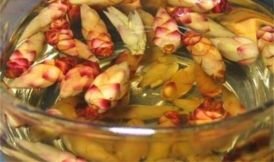 雀嘴茶的功效与禁忌