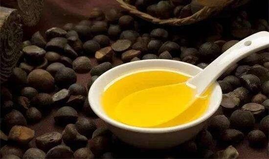 陈年茶油的功效与作用