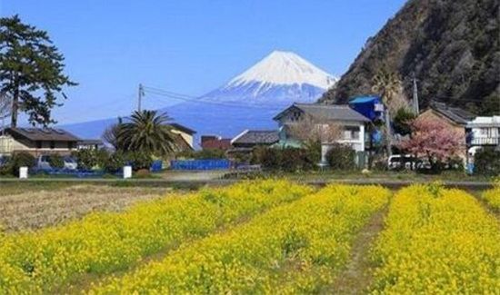 静冈县在日本哪里