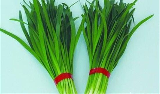 韭菜禁忌人群
