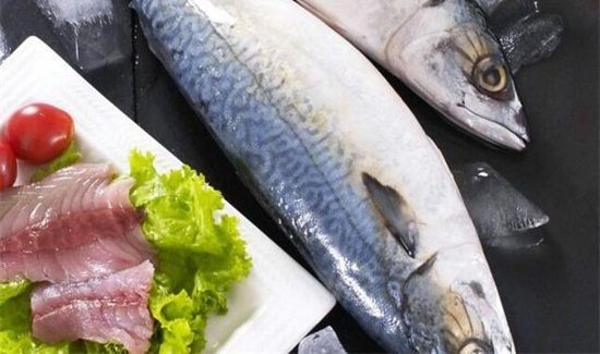 鲅鱼营养价值及禁忌